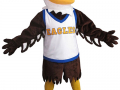 Brown County High School - Eagle