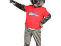 Challenger-Miracle-Field-of-Greater-Rochester-Kampy