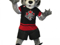 Credit Valley Wolves - Wolf