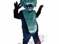 Fleetwood Park Secondary School  - Dragon