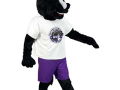 Madera-South-High-School-Madera-Stallion