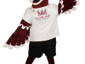 McMurry-University-Wally
