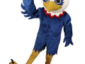 Olathe-North-High-School-Mini-Eagle