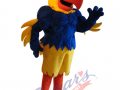 John H. Francis Polytechnic HS - Joe Parrot