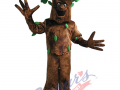 Region of York - Greening Man