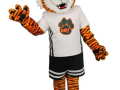 Rialto-Middle-School-Timmy-the-Tiger