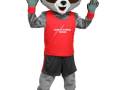 canada-running-series-raccoon