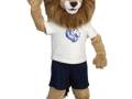 des-moines-christian-school-roary