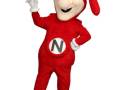 dominos-owen-sound-the-noid