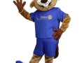 rotary-club-of-hamilton-stoney-creek-beaver