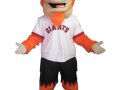 san-jose-giants-baseball-club-gigante