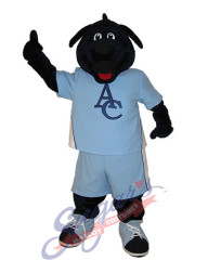 Appleby College - Blue Dog