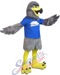 Berkshire Community College - Falcon