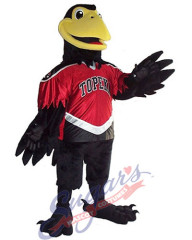 Topeka Scarecrows - Corny the Crow