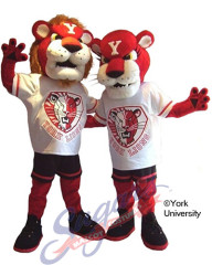 York University - Lions