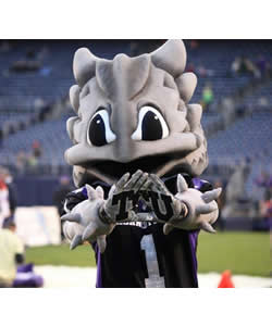 Texas Christian University – Super Frog Texas Christian University – Super Frog