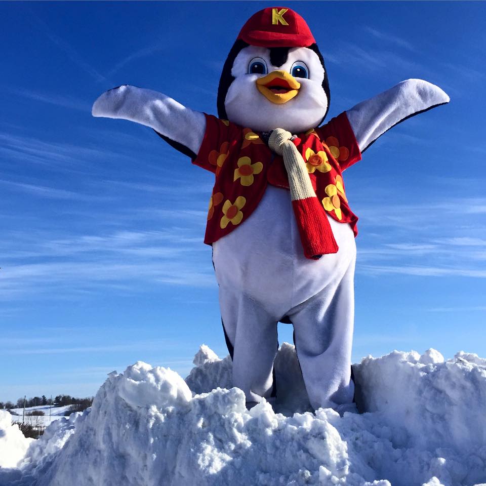 KonaCostume Sugars Mascot Costumes