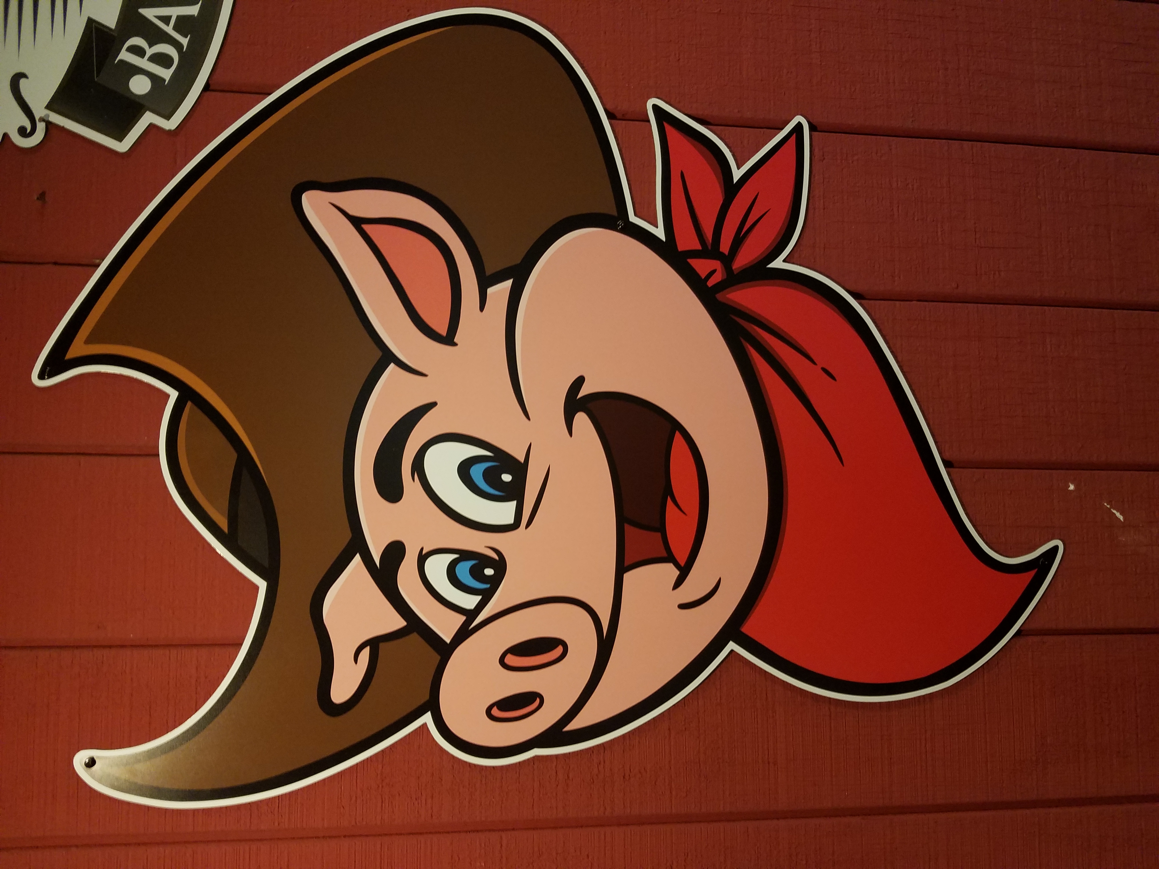 20170926_205423 Sugars Mascot Costumes