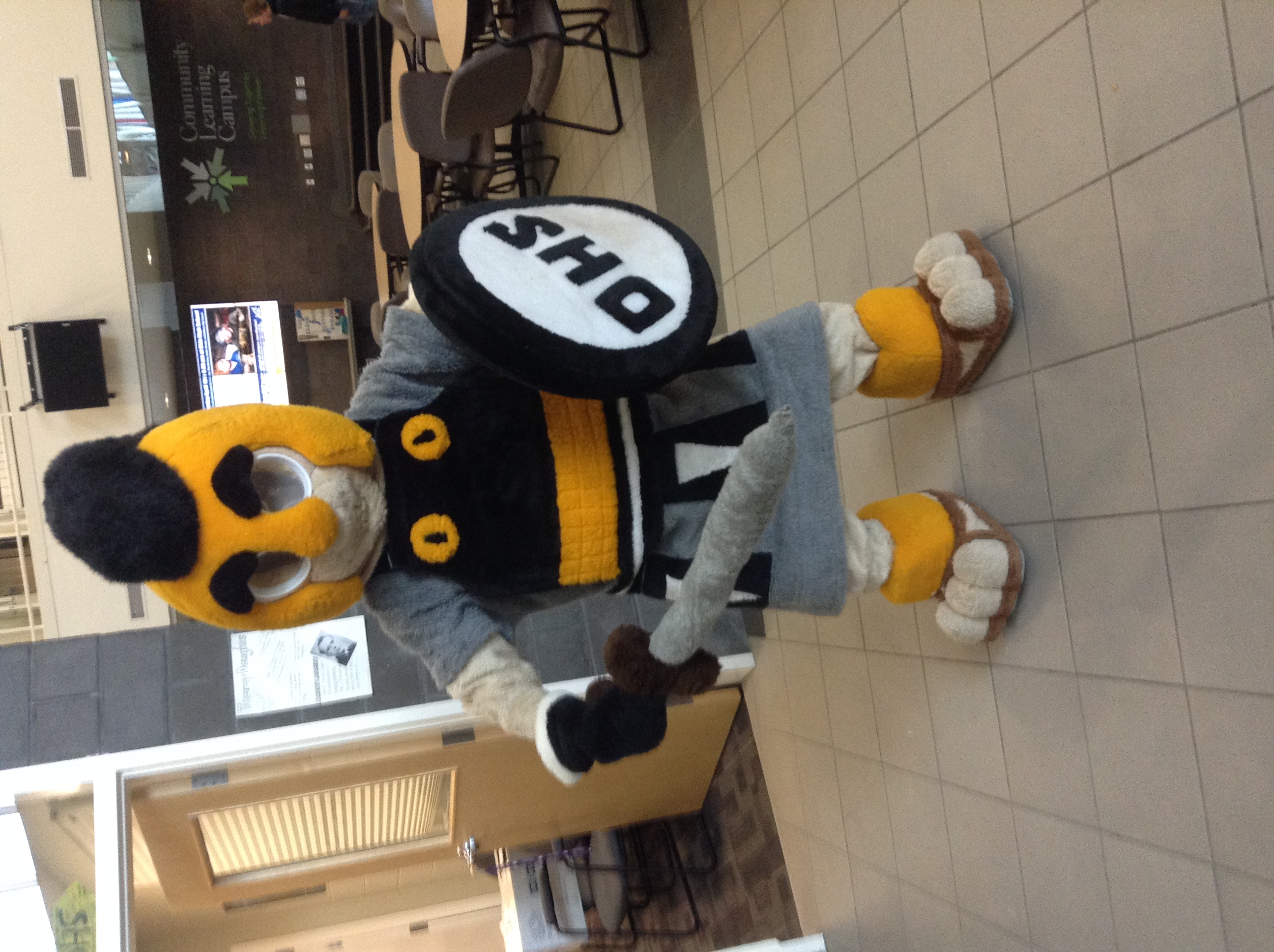 image1 Sugars Mascot Costumes