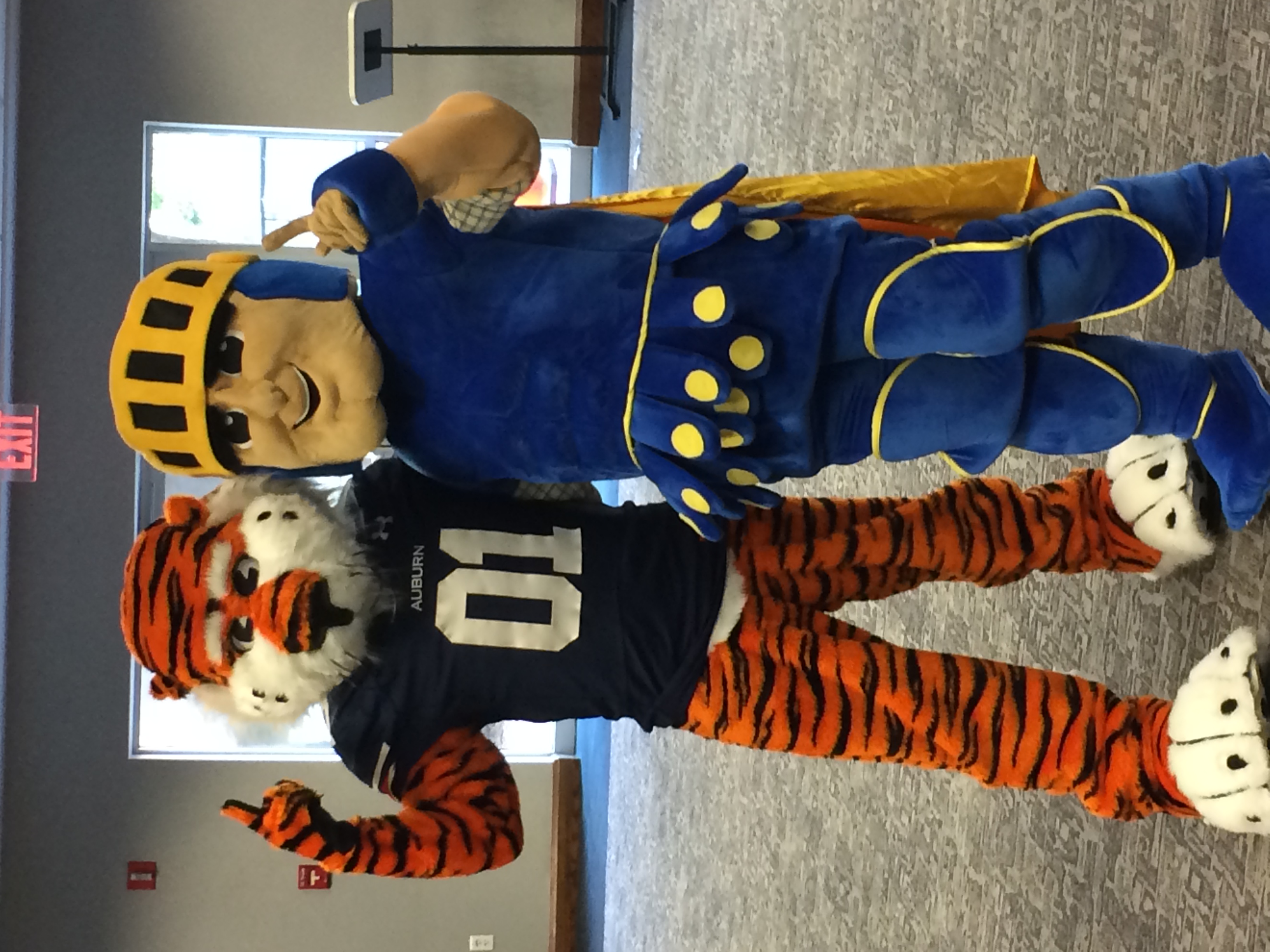 img_3208 Sugars Mascot Costumes