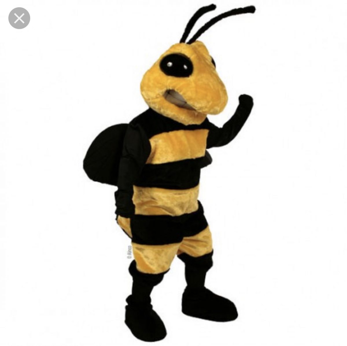 yellowjacket Sugars Mascot Costumes
