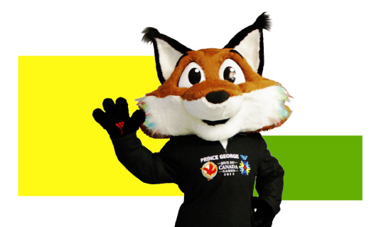 Custom Mascot Costumes  Corporate, School, Sports Mascot Maker